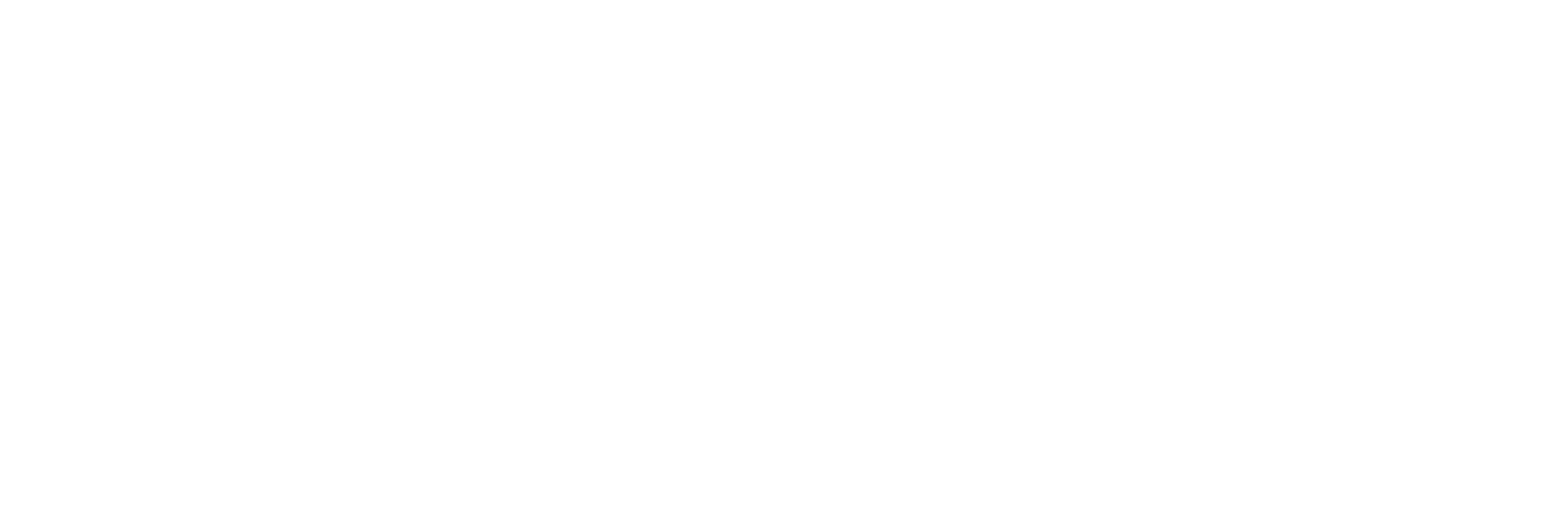 ACE合同会社